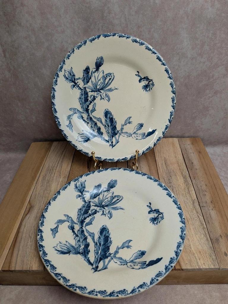 Lot de 2 assiettes anciennes Terre de Fer Gien – modèle Cactus