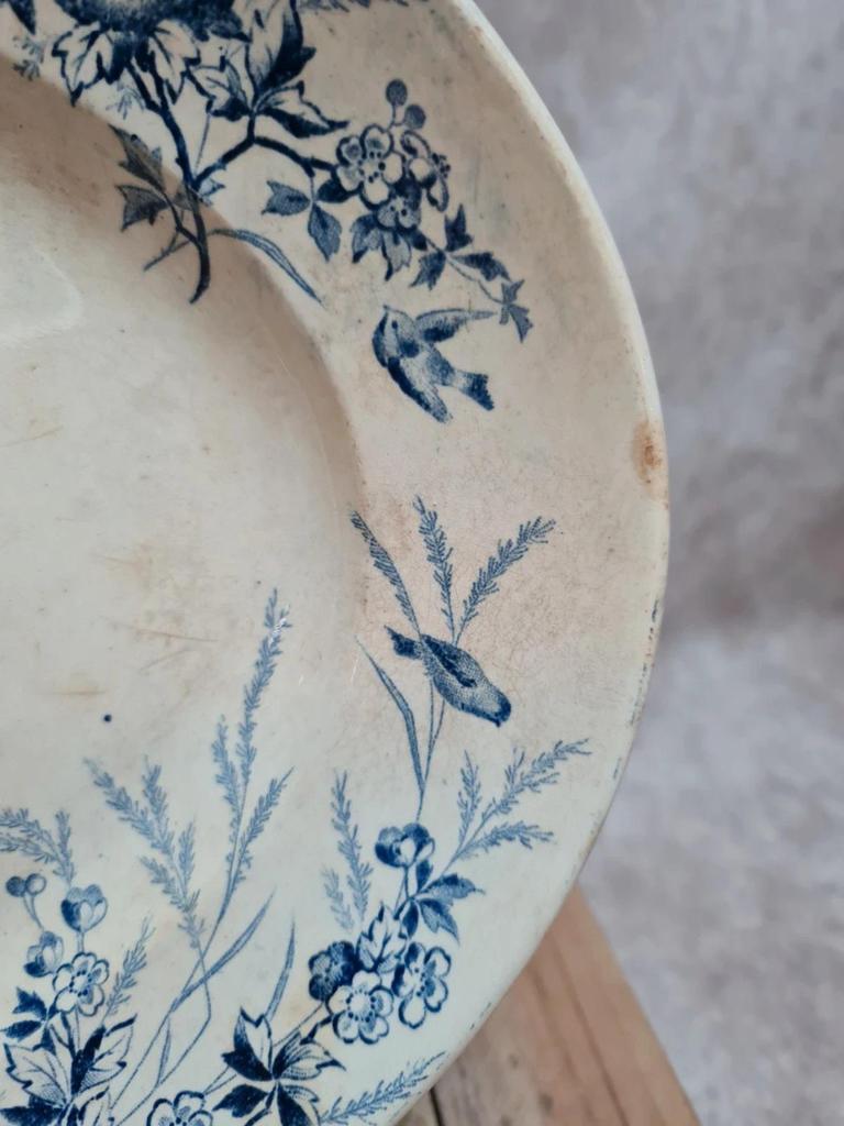 Grand plat ovale Terre de Fer Creil & Montereau Linotte bleu, décor oiseaux ancien