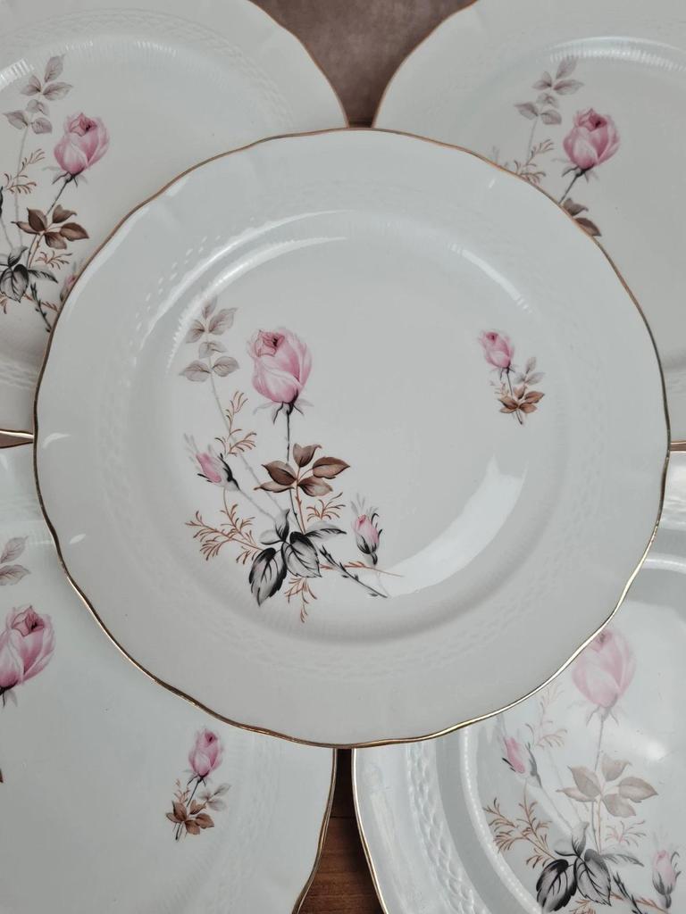 🩷 Lot de 6 assiettes en porcelaine Tognana – motif roses anciennes & liseré doré 🇮🇹