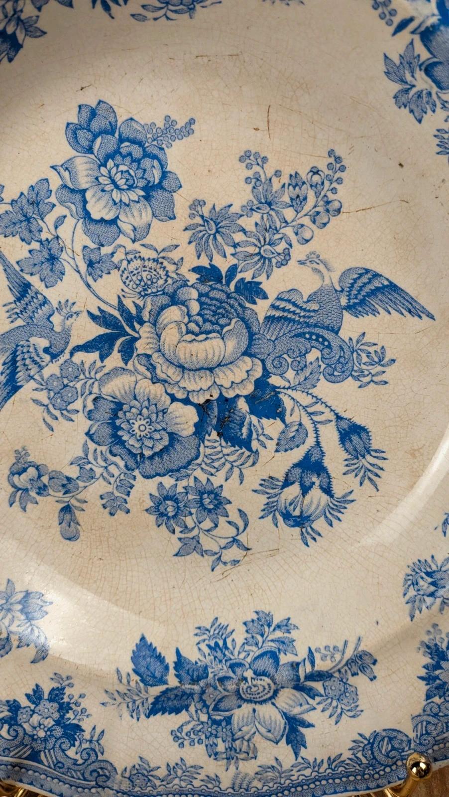 Plat ancien anglais – motif “asiatic Pheasants”