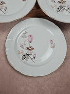 🩷 Lot de 6 assiettes en porcelaine Tognana – motif roses anciennes & liseré doré 🇮🇹
