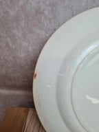 Assiettes Terre de Fer Creil & Montereau Linotte oiseaux vert – lot de 3 anciennes