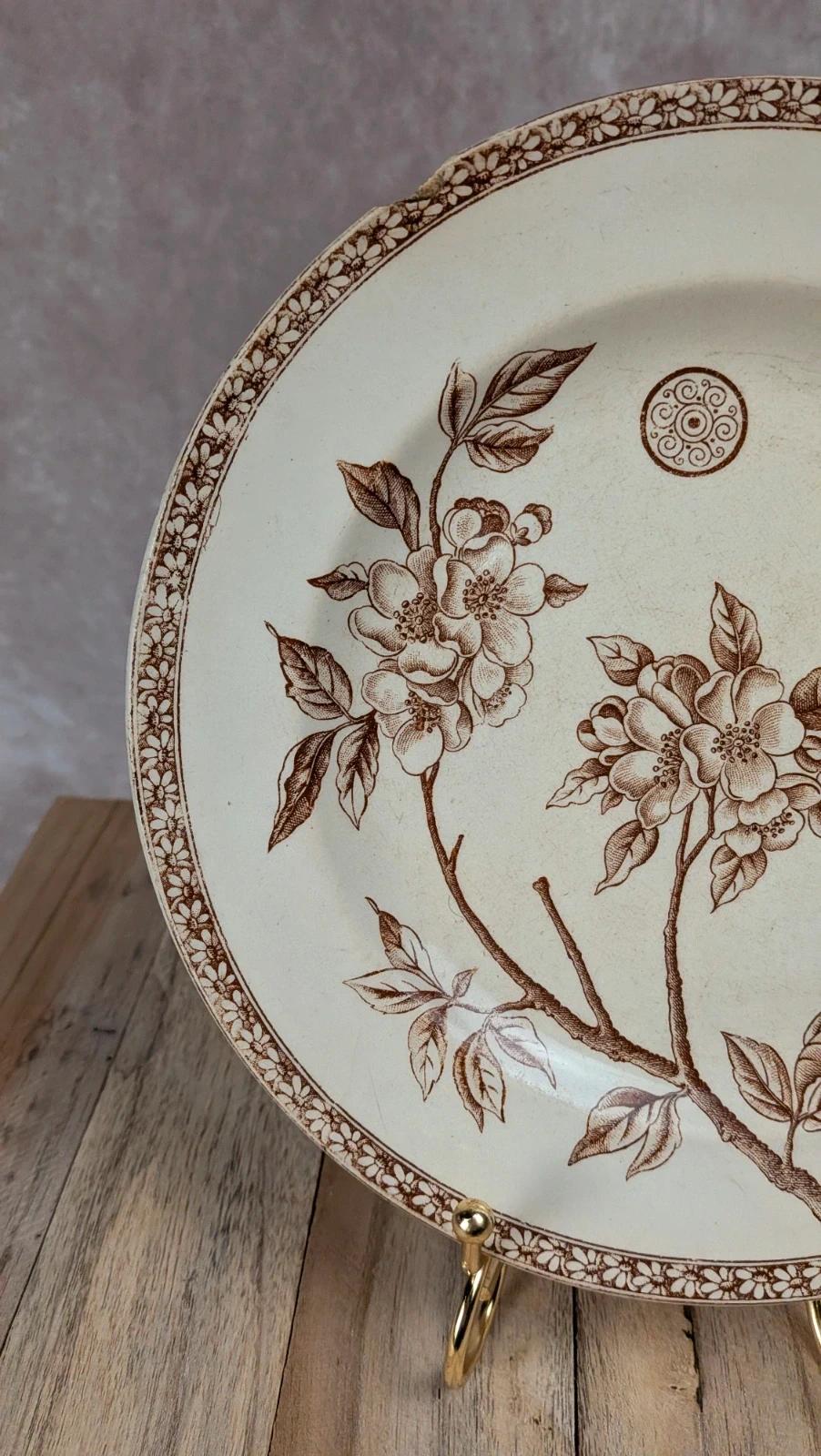 Assiette plate ancienne Terre de Fer – modèle Marguerite