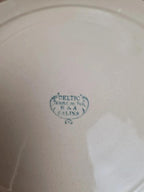 Lot de 2 assiettes plates anciennes Terre de Fer Salins modèle Celtic 💙