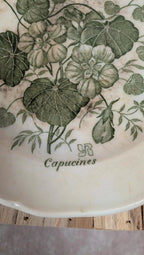 Lot de 2 assiettes Gien – Modèle Capucines – Faïence ancienne