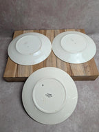 Lot de 6 assiettes en terre de fer Hbc – Modèle Rustique – Décor floral peint à la main