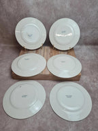 Lot de 6 assiettes à dessert anciennes Salins “petit Trianon” terre de fer bleu 💙🍰