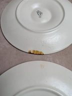 Service à huîtres coquillages vintage Longchamp