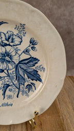 Assiette ancienne Gien modèle Althéa