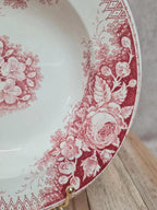 Assiette creuse Terre de Fer Sarreguemines modèle Jardinière rouge