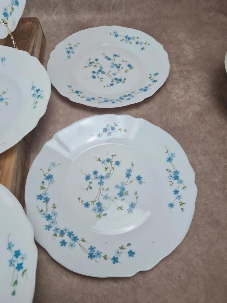 Lot de 10 assiettes vintage Arcopal – Modèle Myosotis