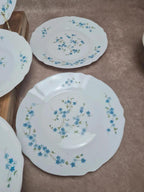 Lot de 10 assiettes vintage Arcopal – Modèle Myosotis