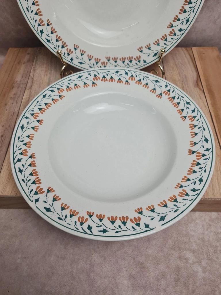 Lot de 2 assiettes creuses Kg Lunéville modèle Moselle 🌿🍂 terre de fer