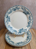 Lot de 3 assiettes plates en terre de fer Debray – Service Guadeloupe