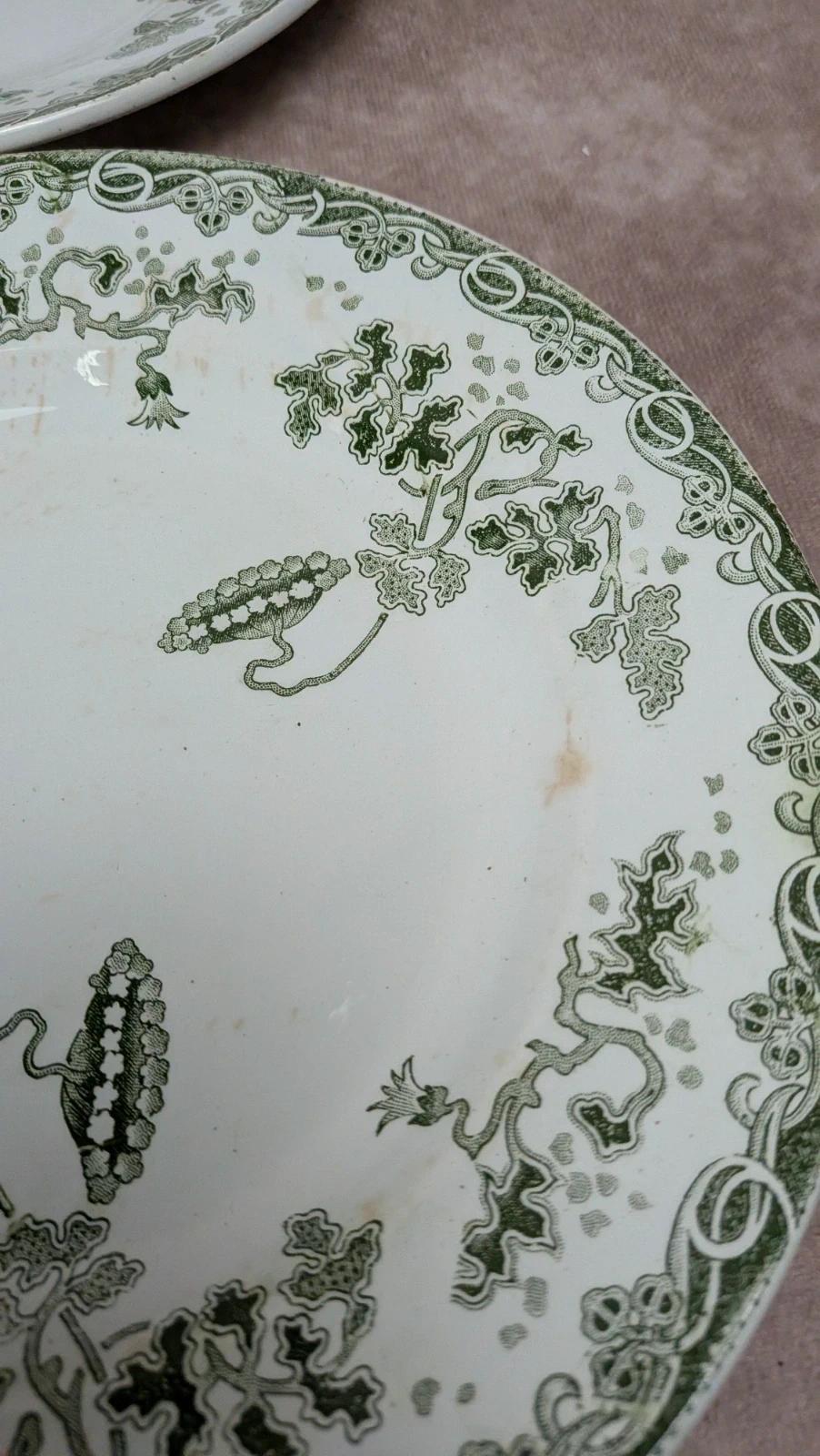 Lot 12 assiettes plates Terre de Fer Saint-amand modèle Modern Style 22 cm