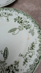 Lot 12 assiettes plates Terre de Fer Saint-amand modèle Modern Style 22 cm