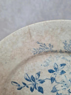 Assiette ancienne terre de fer décor floral bleu romantique pivoine fleurs Xixe