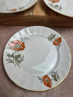 Lot de 5 assiettes à dessert en porcelaine – Décor floral coquelicots