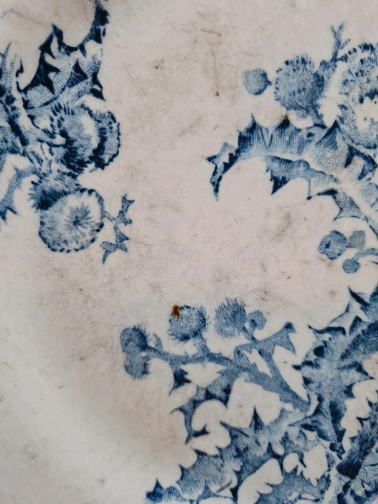 Assiette ancienne décor chardon bleu – esprit Terre de fer 🌿