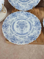 Lot de 6 assiettes plates Arcopal Honorine 💙