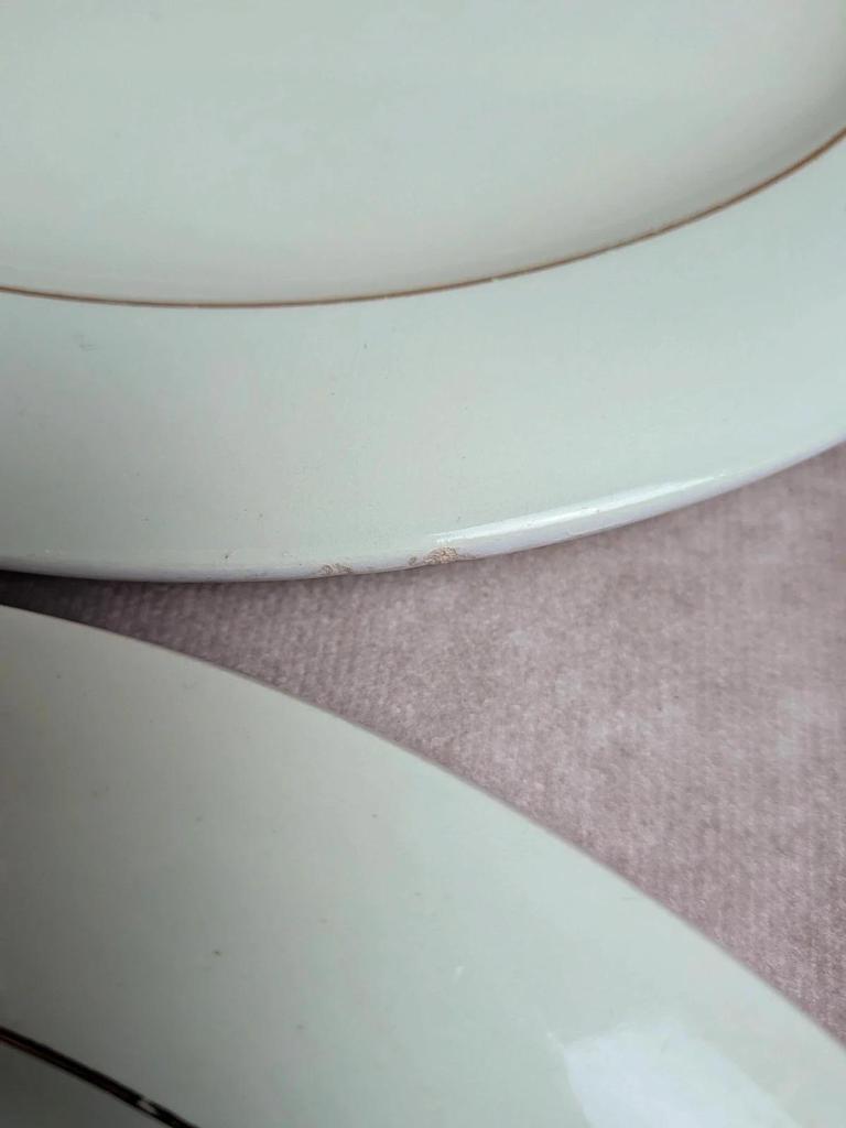 Lot de 6 assiettes plates Opaceline Salins vintage