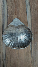 Petite coupelle coquille en métal argenté vintage