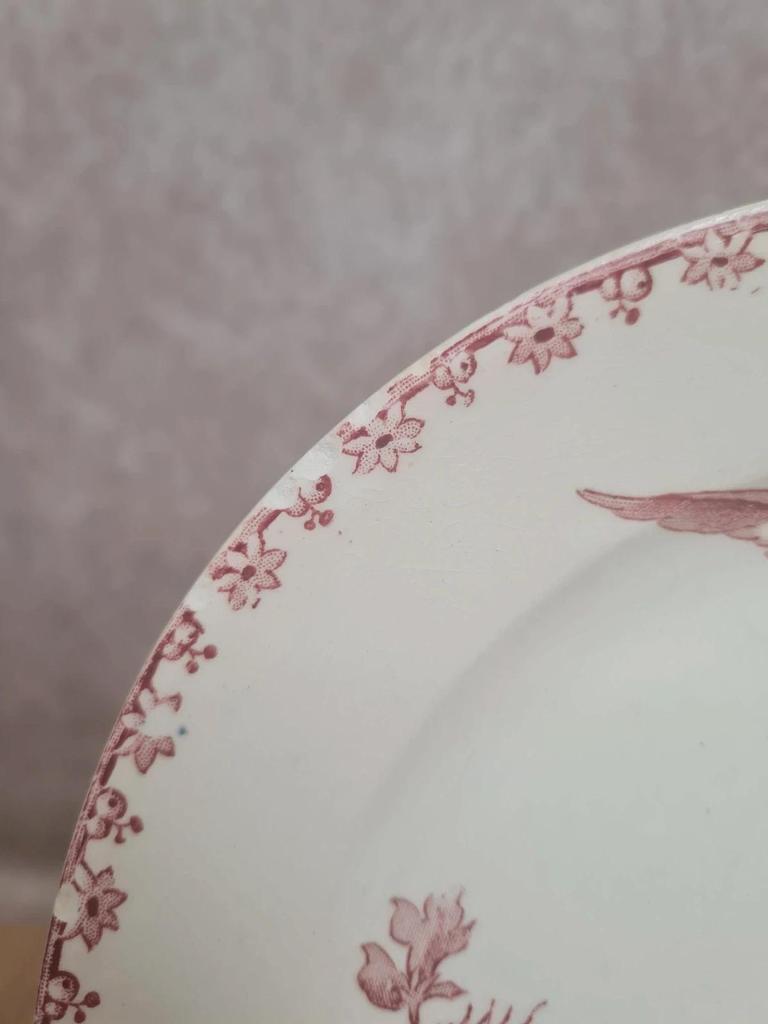Assiette à dessert Sarreguemines modèle Favori décor oiseaux 🌿 terre de fer
