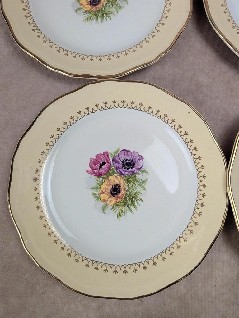 Lot de 10 assiettes à dessert L’amandinoise Coopélia vintage