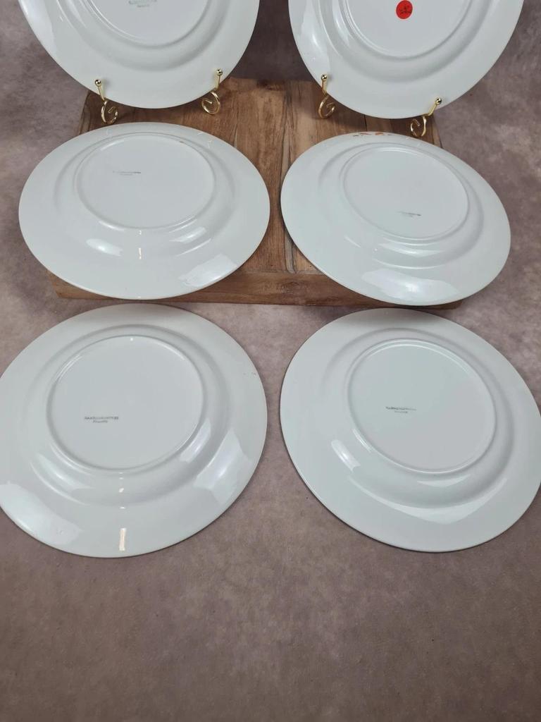 Lot de 6 assiettes semi-creuses Sarreguemines 🍊