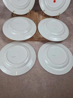 Lot de 6 assiettes semi-creuses Sarreguemines 🍊