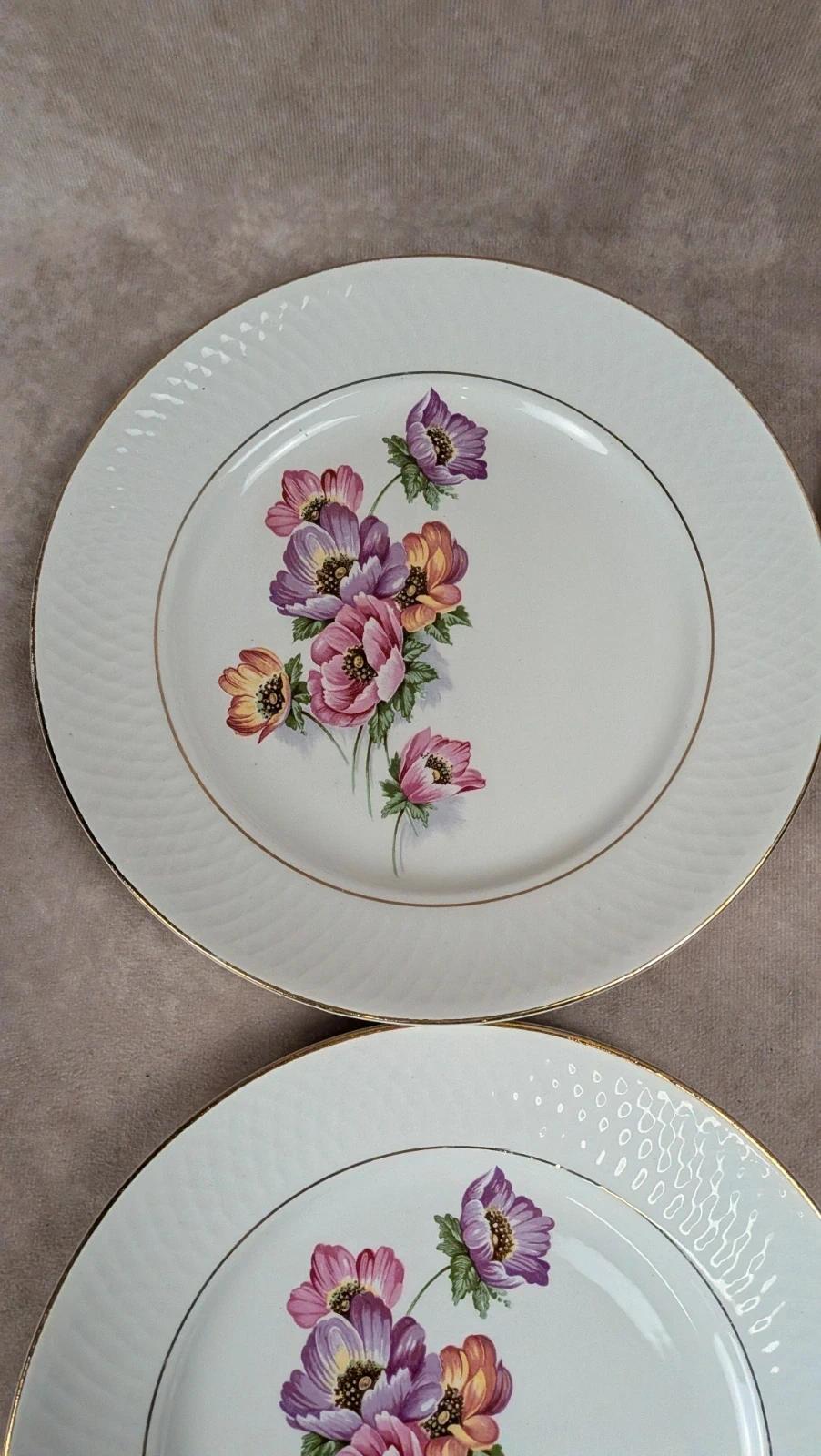 Lot de 6 assiettes plates Trieste – Moulin des Loups