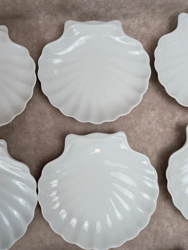 Lot de 8 assiettes coquille Saint-jacques