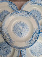 Lot de 9 assiettes creuses anciennes Saint-amand & Hamage modèle Jardinière 🌿