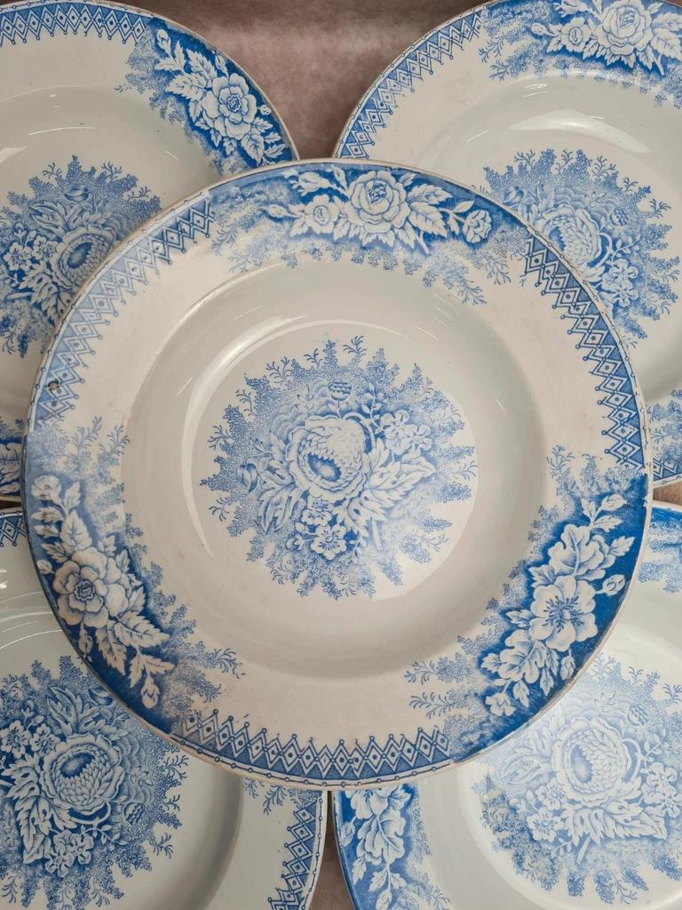 Lot de 9 assiettes creuses anciennes Saint-amand & Hamage modèle Jardinière 🌿