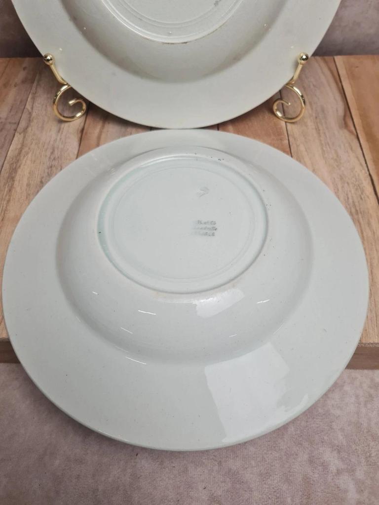 Lot de 2 assiettes creuses Kg Lunéville modèle Moselle 🌿🍂 terre de fer