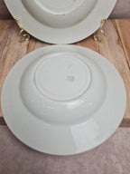 Lot de 2 assiettes creuses Kg Lunéville modèle Moselle 🌿🍂 terre de fer