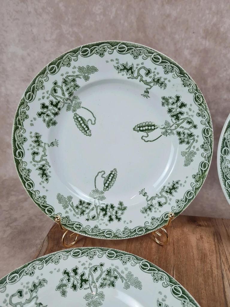 Lot de 6 assiettes Saint-amand & Hamage – Modèle Modern-style 🌿