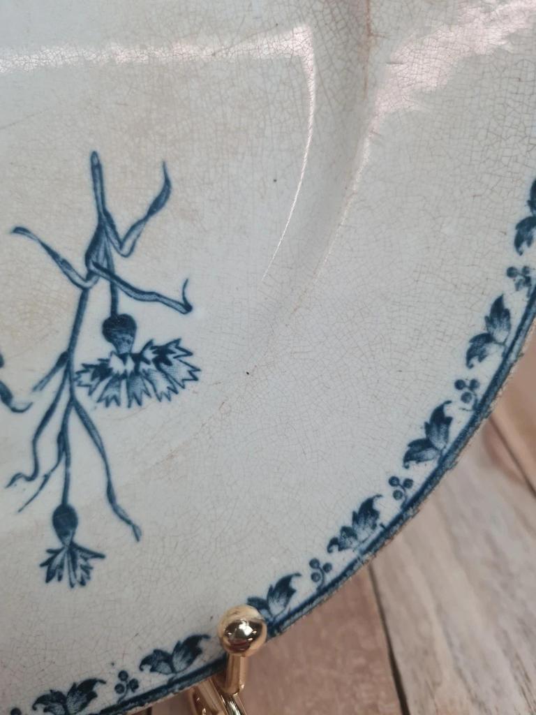 Assiette ancienne Terre de Fer Sarreguemines modèle Carmen Xixe 🌿🦋