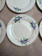 Lot de 9 assiettes anciennes en terre de fer – Opaque de Bordeaux – décor floral peint main