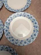 Lot de 5 assiettes à dessert Luminarc – décor floral bleu
