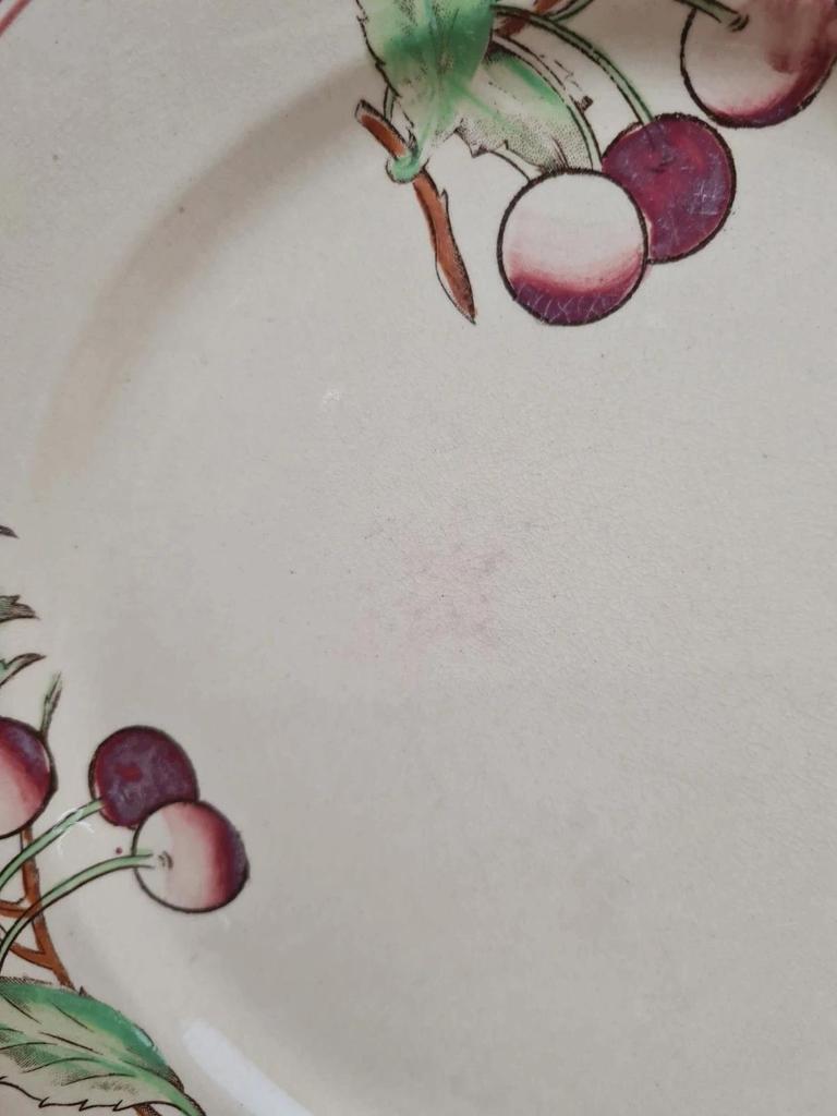 Lot de 6 assiettes plates Boch La Louvière Belgique modèle 2460 décor cerises polychrome