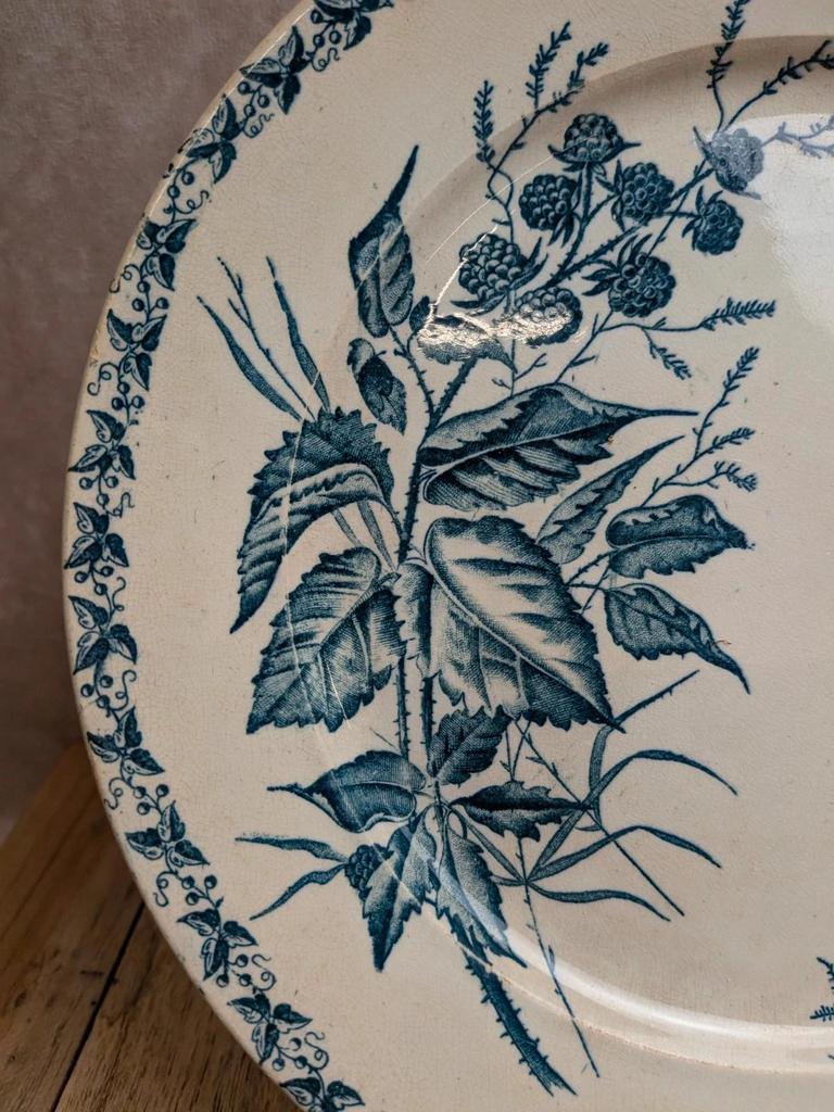 Assiette terre de fer Badonviller modèle Mûre – décor bleu
