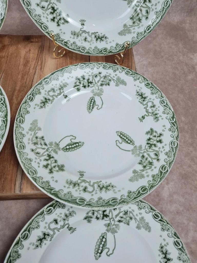 Lot de 6 assiettes Saint-amand & Hamage – Modèle Modern-style 🌿