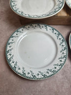Lot de 6 assiettes plates terre de fer Gien Montigny – décor vert ancien