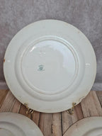 Assiettes Terre de Fer Creil & Montereau Linotte oiseaux vert – lot de 3 anciennes