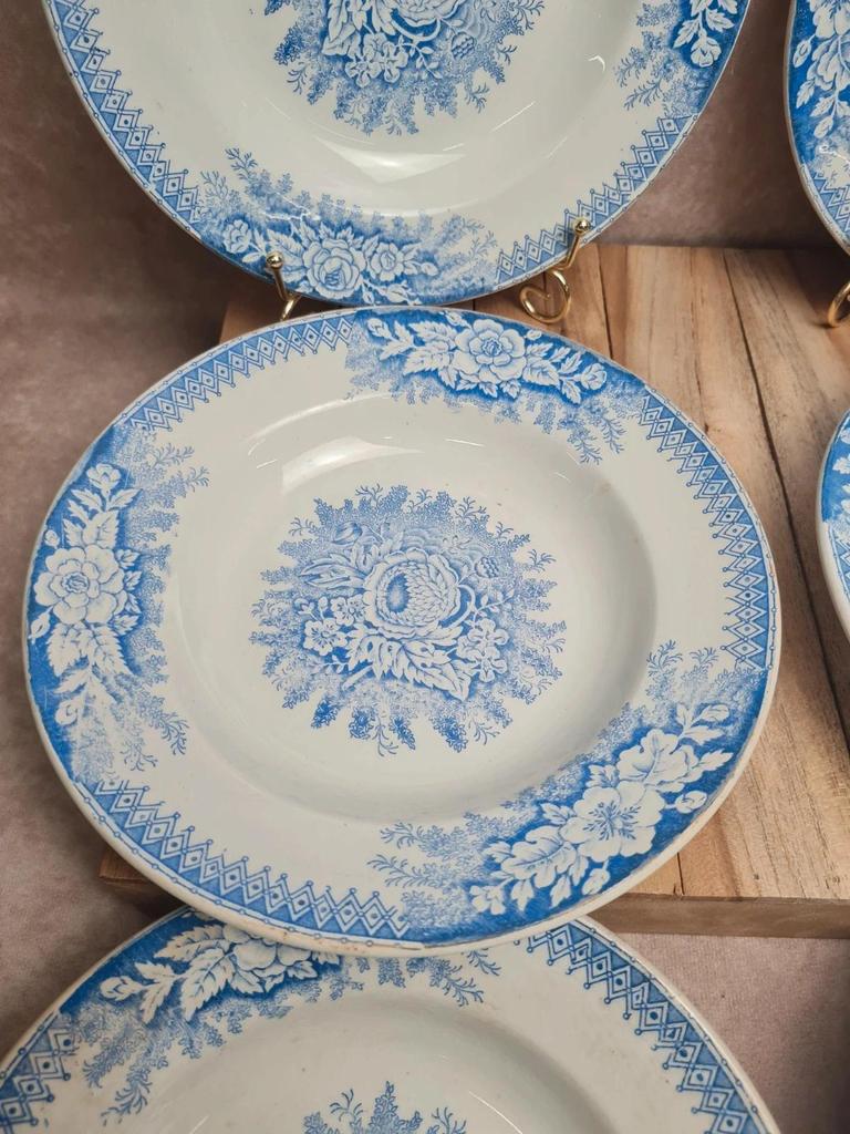 Lot de 9 assiettes creuses anciennes Saint-amand & Hamage modèle Jardinière 🌿