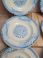 Lot de 9 assiettes creuses anciennes Saint-amand & Hamage modèle Jardinière 🌿