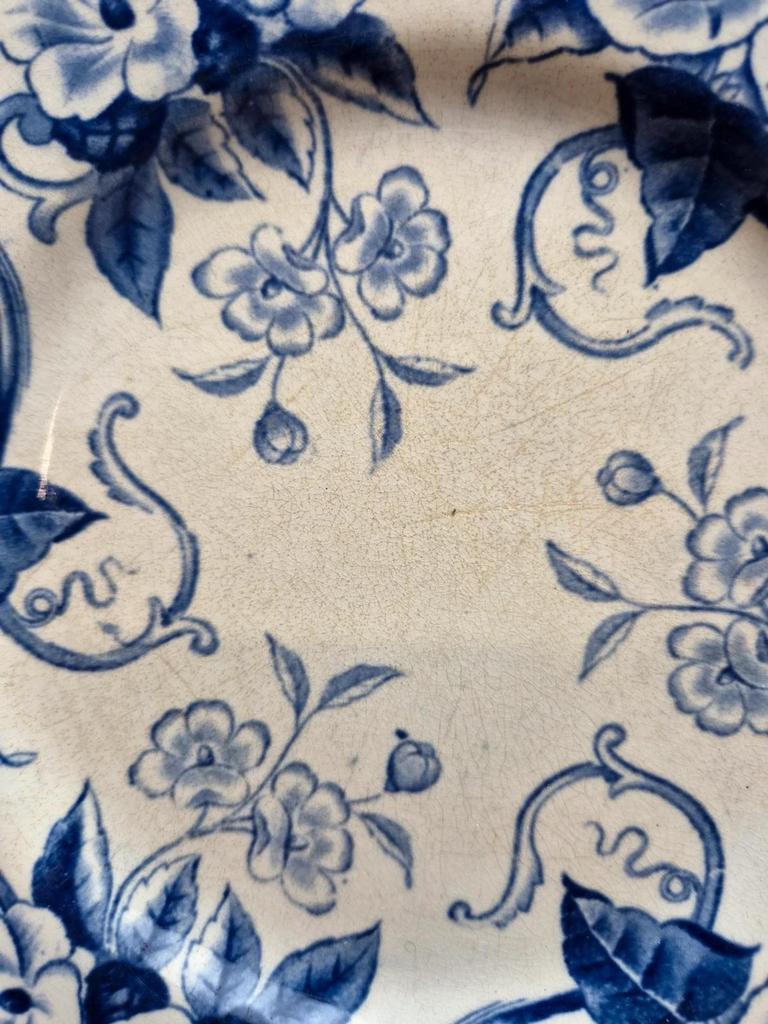 Assiette à dessert ancienne Creil et Montereau modèle Flora bleu