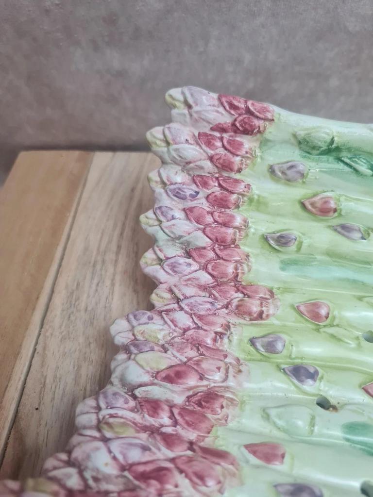 Plat à asperges barbotine ancien décor naturel 🌿🥀