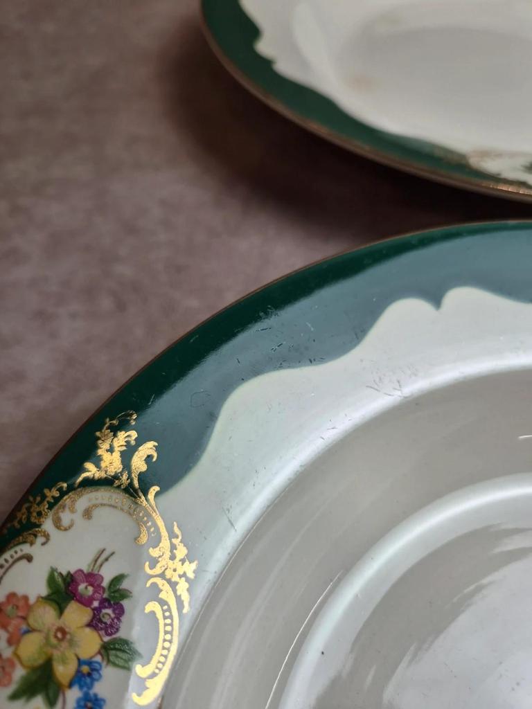 7 assiettes creuses Digoin Sarreguemines Champagne – Porcelaine opaque – Terre de fer vintage